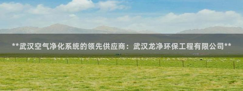 彩名堂预测网站：**武汉空气净化系统