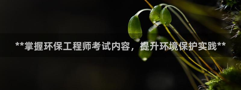 彩名堂旧版本：**掌握环保工程师考试