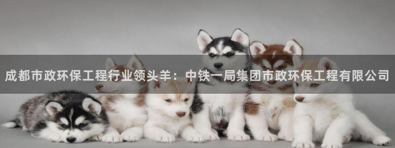 彩名堂计划怎么看：成都市政环保工程行