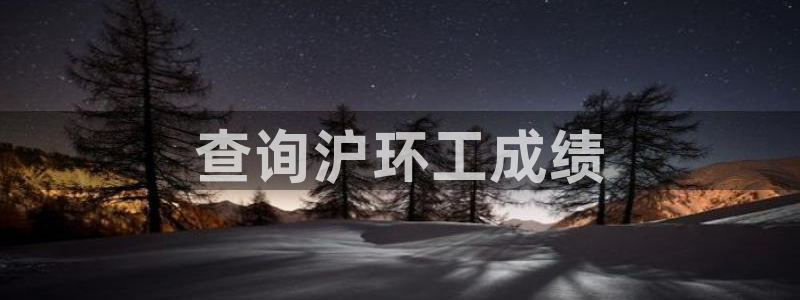 彩名堂.apk：查询沪环工成绩