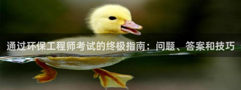 彩名堂是正规的公司吗：通过环保工程师