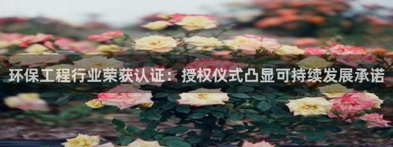 彩名堂怎么用不了了：环保工程行业荣获
