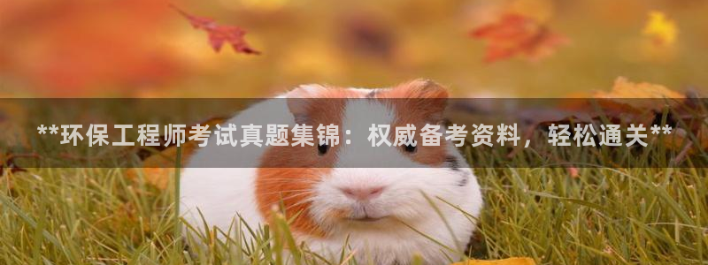 彩名堂01计划：**环保工程师考试真题集锦：权威备考资料，轻松通关**