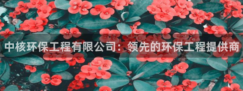 彩名堂免费计划官网5.0.0：中核环