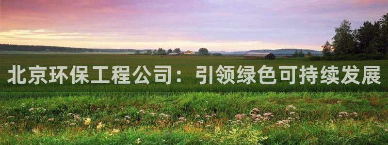 彩名堂旧版本：北京环保工程公司：引领