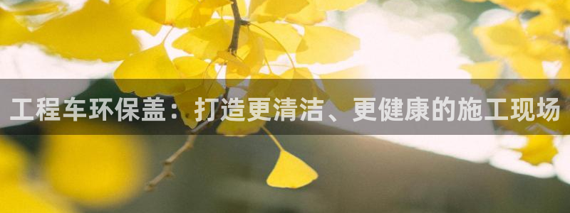 彩名堂为什么突然不能用了：工程车环保盖：打造更清洁、更健康的施工现场