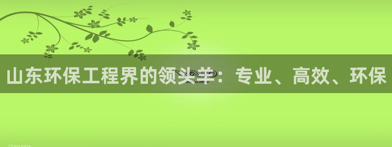彩名堂二维码：山东环保工程界的领头羊：专业、高效、环保