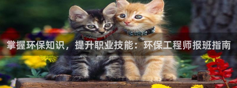彩名堂：掌握环保知识，提升职业技能：