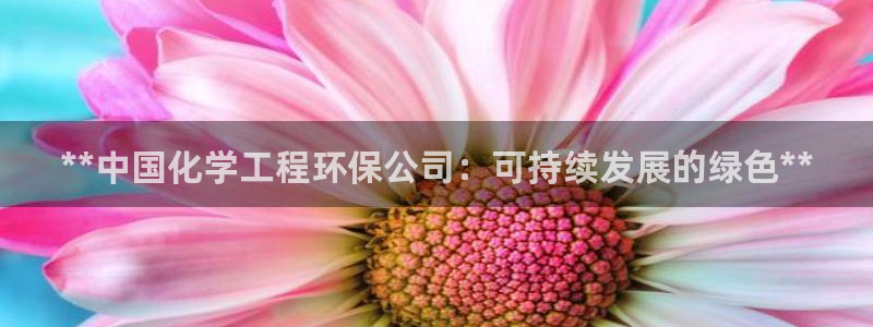 彩名堂01计划：**中国化学工程环保