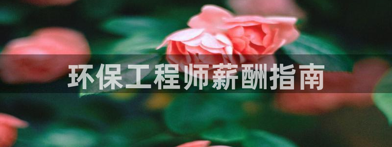 彩名堂官方下载地址：环保工程师薪酬指