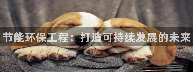 彩名堂改名稻草人了吗：节能环保工程：