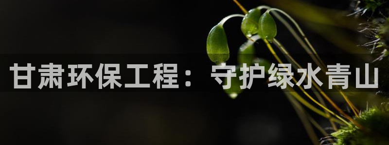 彩名堂app官方网址是多少：甘肃环保