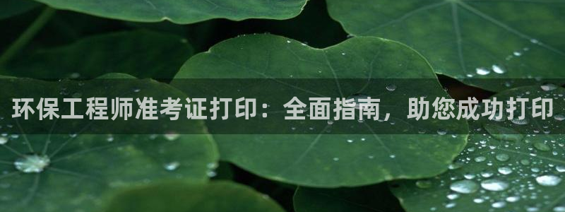彩名堂怎么打最稳：环保工程师准考证打印：全面指南，助您成功打印