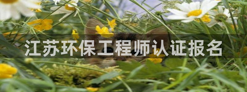 彩名堂好用还是千里马好用一点：江苏环