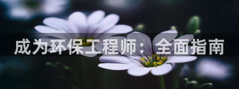 彩名堂5.0计划永久免费版为什么下不