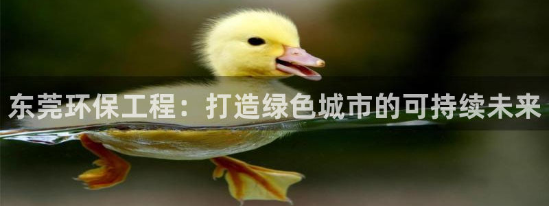 彩名堂5.0计划：东莞环保工程：打造