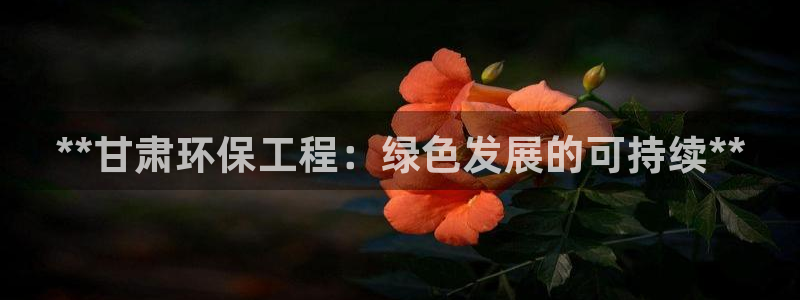 彩名堂苹果客户端：**甘肃环保工程：