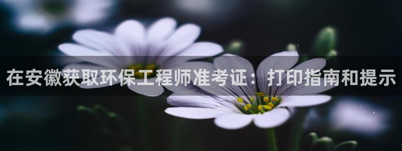 彩名堂官网客户端：在安徽获取环保工程