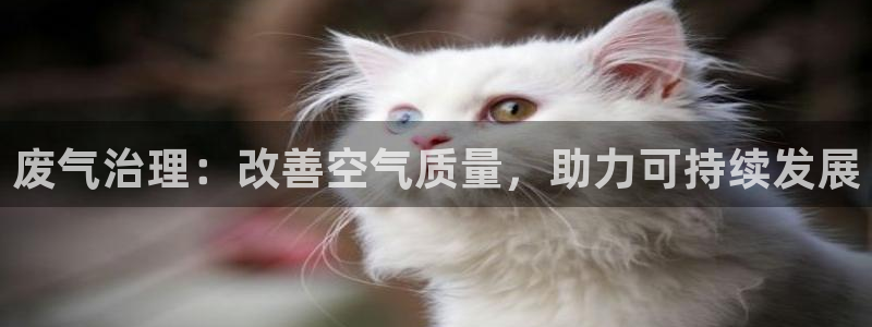 彩名堂免费计划软件下载：废气治理：改
