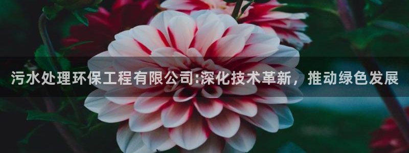 彩名堂平台：污水处理环保工程有限公司