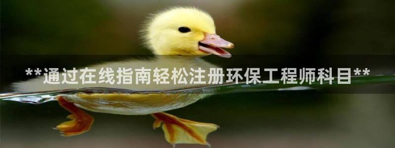 彩名堂3d：**通过在线指南轻松注册