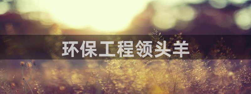彩名堂双彩网：环保工程领头羊