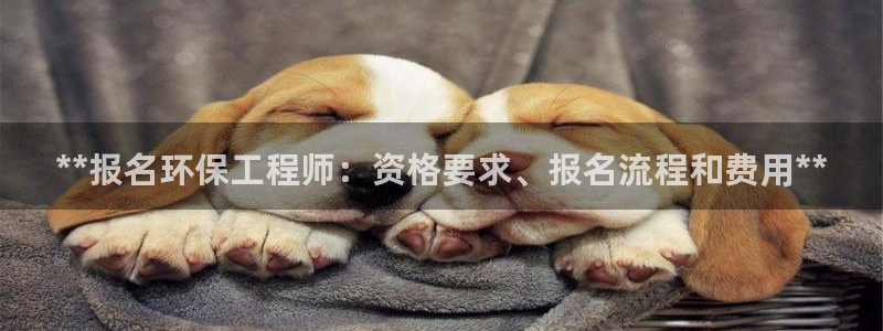 彩名堂不能用了吗：**报名环保工程师：资格要求、报名流程和费用**