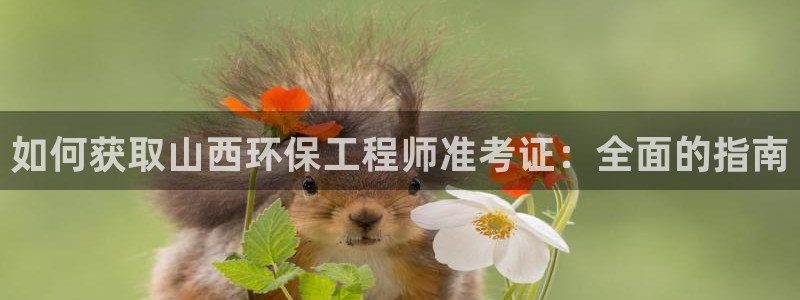 彩名堂.netnet：如何获取山西环