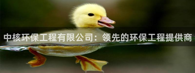 彩名堂计划软件下载：中核环保工程有限