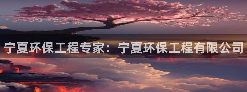 彩名堂官网计划怎么下载：宁夏环保工程