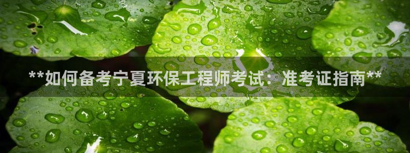 彩名堂官网谁有：**如何备考宁夏环保