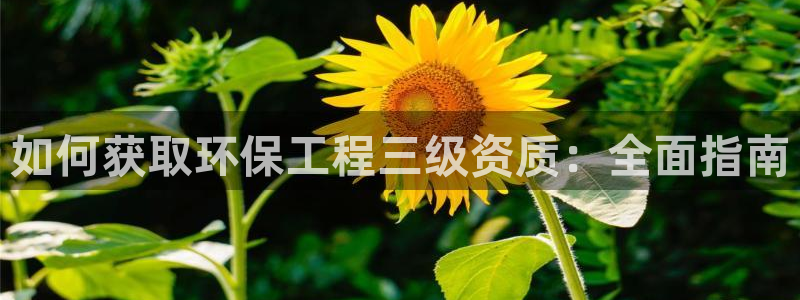 正规彩名堂官网计划01：如何获取环保