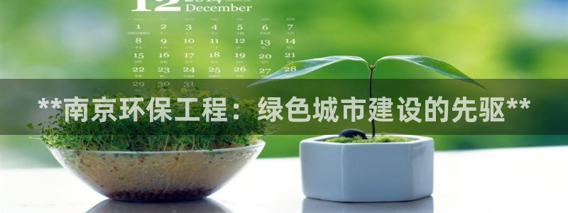 彩名堂怎么用不了了：**南京环保工程：绿色城市建设的先驱**