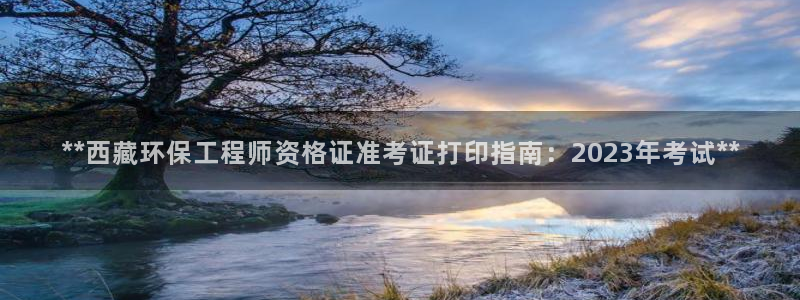 彩名堂计划软件下载：**西藏环保工程