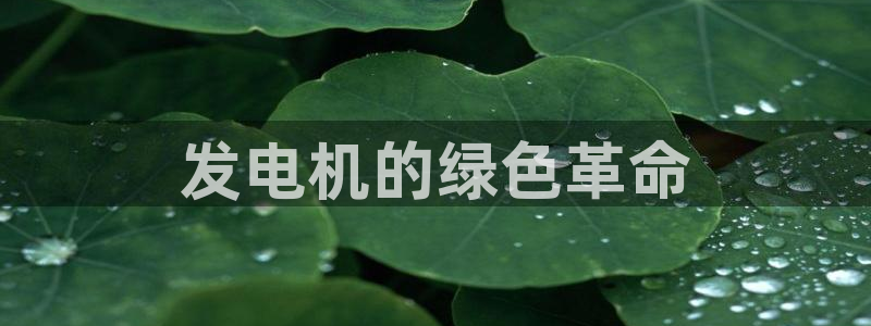 彩名堂拼音怎么拼：发电机的绿色革命