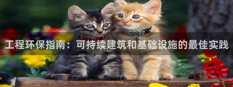彩名堂计划怎么跟,为什么我一跟就挂：