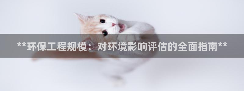 彩名堂怎么不能用了：**环保工程规模：对环境影响评估的全面指南**