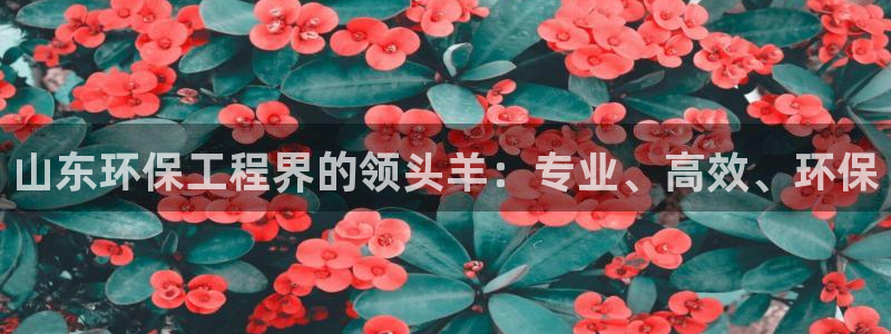 彩名堂计划app安卓免费下载：山东环