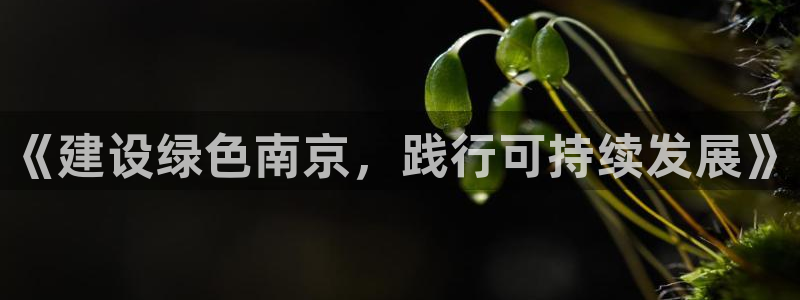 彩名堂还能用吗：《建设绿色南京，践行