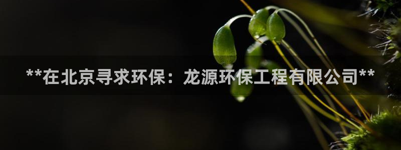 彩名堂预测：**在北京寻求环保：龙源