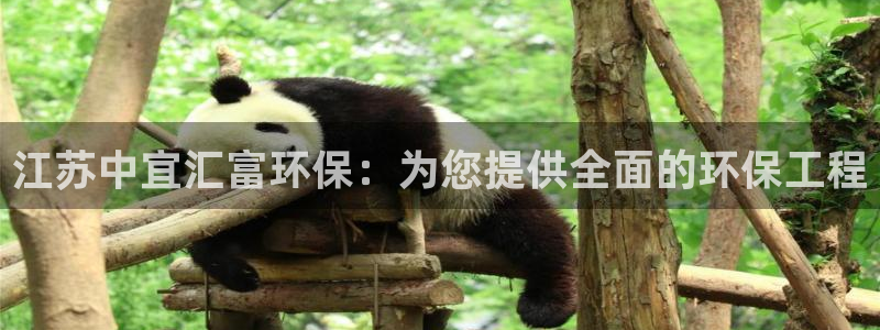 彩名堂跟哪种最好用：江苏中宜汇富环保