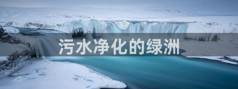 彩名堂好用还是千里马好用：污水净化的