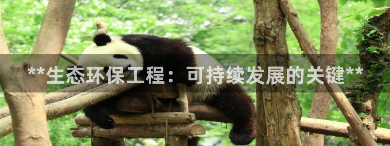 彩名堂免费计划官网5.0版下载链接：