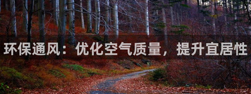 彩名堂为啥又不能用了：环保通风：优化