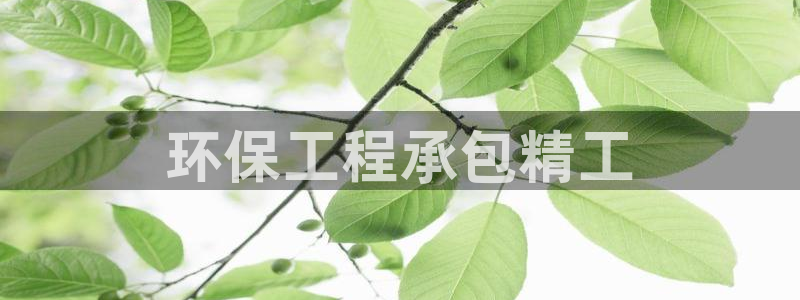 彩名堂不能用了吗：环保工程承包精工