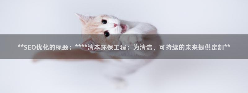 彩名堂计划怎么出的：**SEO优化的