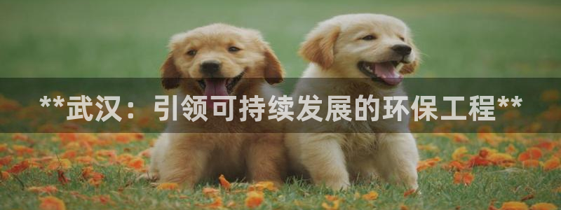 彩名堂计划最新版手机版：**武汉：引
