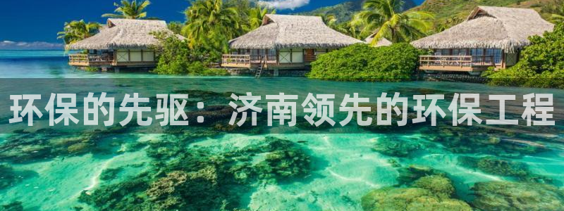 彩名堂客服：环保的先驱：济南领先的环