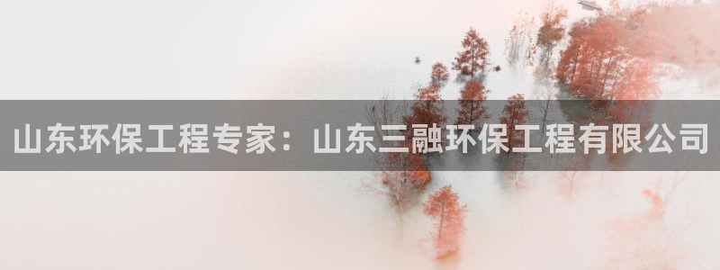彩名堂01计划：山东环保工程专家：山