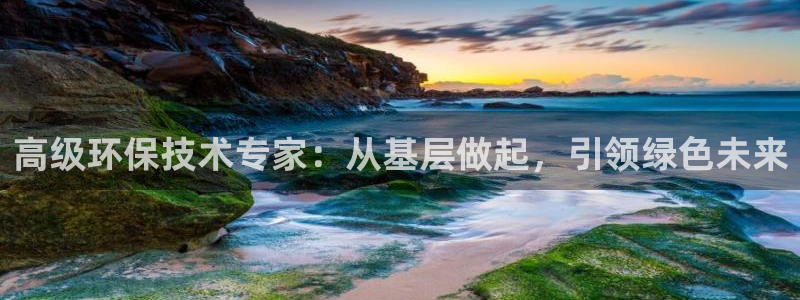 彩名堂旧版本：高级环保技术专家：从基